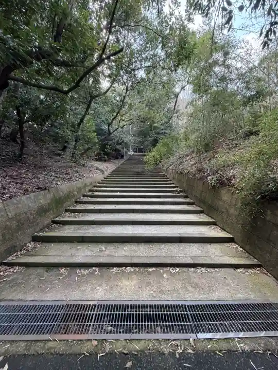 長浜神社の{uncategorized: "未分類", other: "その他", undefined: "問題あり", building: "その他建物", grave: "お墓", sacred_gate: "鳥居", guardian: "狛犬", statue: "像", buddha: "仏像", history: "歴史", nature: "自然", garden: "庭園", animal: "動物", pagoda: "塔", temizu: "手水舎", mountain_gate: "山門・神門", sanctuary: "本殿・本堂", subordinate: "末社・摂社", art: "芸術", scenery: "景色", jizo: "地蔵", ema: "絵馬", goshuin: "御朱印", omikuji: "おみくじ", items: "授与品その他", amulet: "お守り", goshuincho: "御朱印帳", eats: "食事", festival: "お祭り", votive_dance: "神楽", shichigosan: "七五三参", wedding: "結婚式", experience: "体験その他", initially: "初詣", around: "周辺", anti_infection: "感染症対策"}