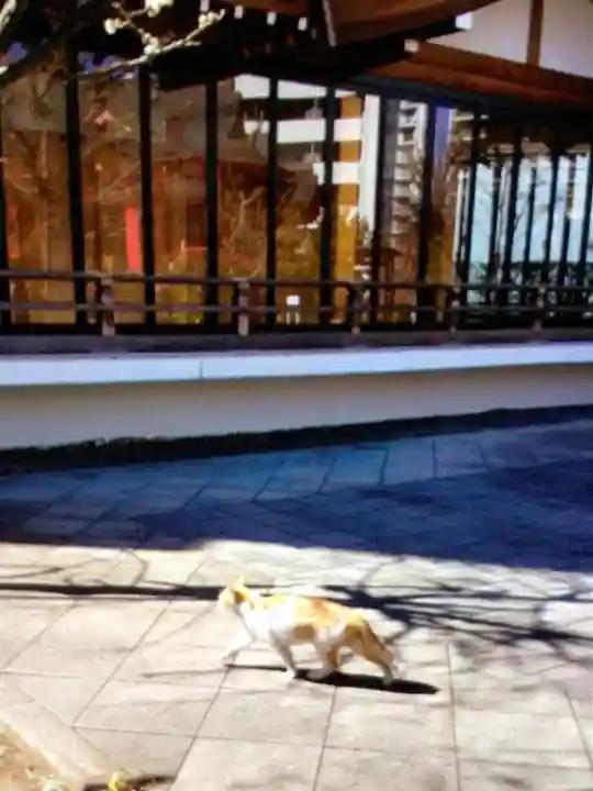 成子天神社(東京都)