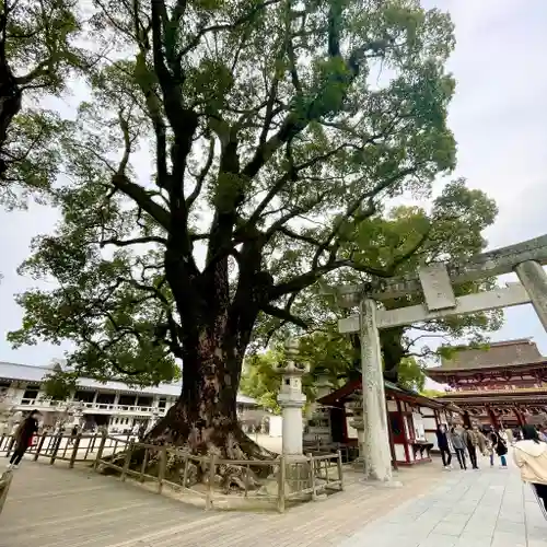 太宰府天満宮の建物その他