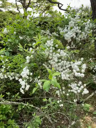 国宝 大法寺(長野県)