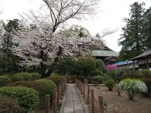 本妙寺(熊本県)