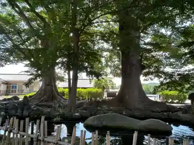 白鳥神社(長野県)