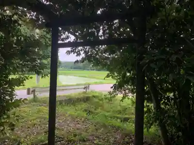 神社（名称不明）の鳥居