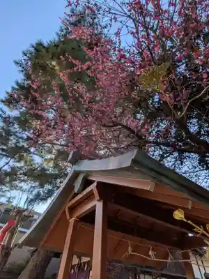 猿田彦神社(東京都)