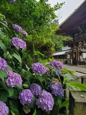沙沙貴神社(滋賀県)