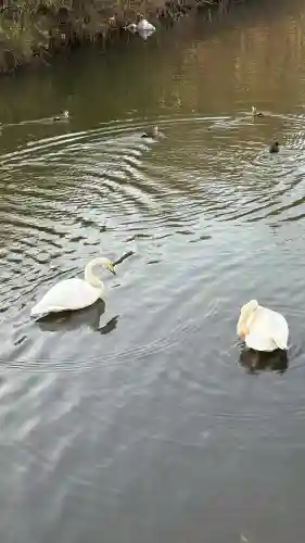 常陸二ノ宮　静神社(茨城県)