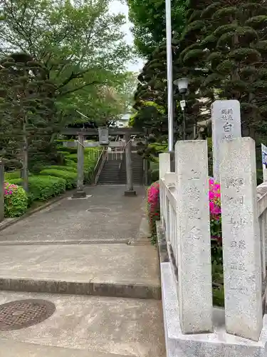 白幡八幡大神の鳥居