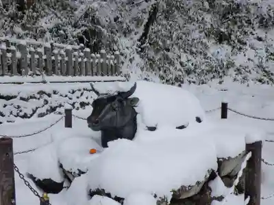 転法輪寺の狛犬
