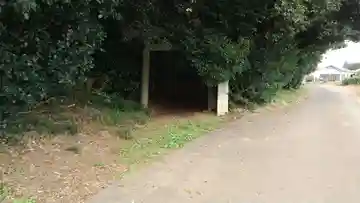 鹿嶋神社(茨城県)