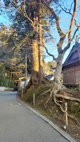 中尊寺(岩手県)