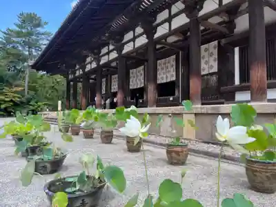 唐招提寺(奈良県)