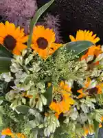 上尾御嶽神社の手水舎