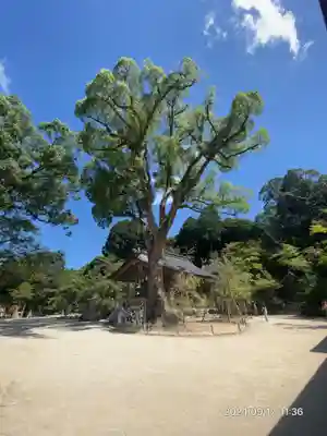 宝満宮竈門神社(福岡県)
