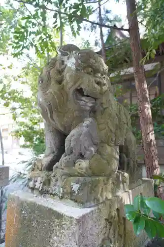 大國魂神社の狛犬