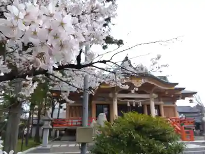 櫻谷神社(福井県)