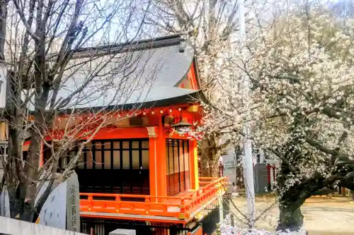 花園神社(東京都)
