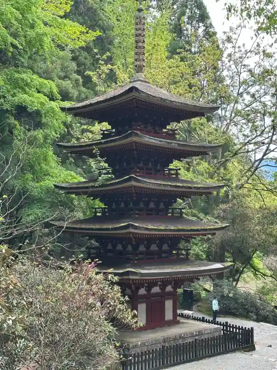 室生寺の{uncategorized: "未分類", other: "その他", undefined: "問題あり", building: "その他建物", grave: "お墓", sacred_gate: "鳥居", guardian: "狛犬", statue: "像", buddha: "仏像", history: "歴史", nature: "自然", garden: "庭園", animal: "動物", pagoda: "塔", temizu: "手水舎", mountain_gate: "山門・神門", sanctuary: "本殿・本堂", subordinate: "末社・摂社", art: "芸術", scenery: "景色", jizo: "地蔵", ema: "絵馬", goshuin: "御朱印", omikuji: "おみくじ", items: "授与品その他", amulet: "お守り", goshuincho: "御朱印帳", eats: "食事", festival: "お祭り", votive_dance: "神楽", shichigosan: "七五三参", wedding: "結婚式", experience: "体験その他", initially: "初詣", around: "周辺", anti_infection: "感染症対策"}