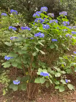 等覚院(神奈川県)