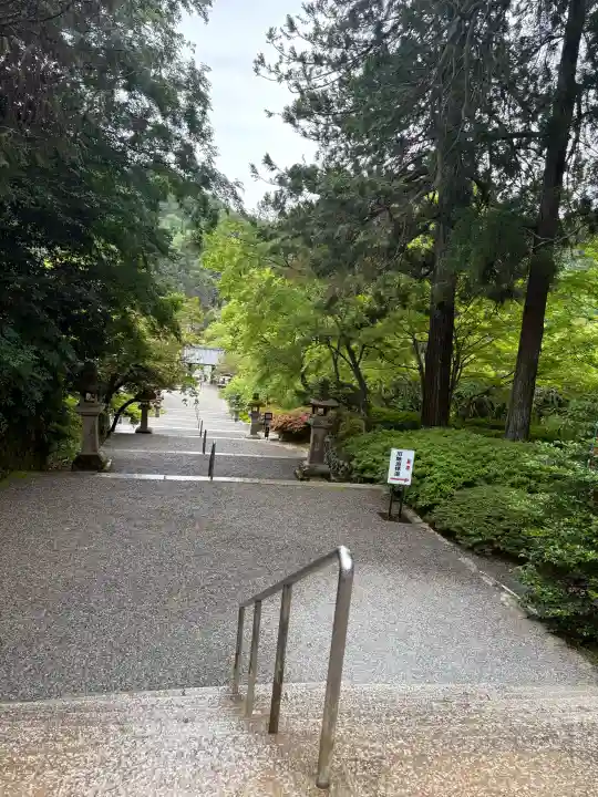 観心寺の{uncategorized: "未分類", other: "その他", undefined: "問題あり", building: "その他建物", grave: "お墓", sacred_gate: "鳥居", guardian: "狛犬", statue: "像", buddha: "仏像", history: "歴史", nature: "自然", garden: "庭園", animal: "動物", pagoda: "塔", temizu: "手水舎", mountain_gate: "山門・神門", sanctuary: "本殿・本堂", subordinate: "末社・摂社", art: "芸術", scenery: "景色", jizo: "地蔵", ema: "絵馬", goshuin: "御朱印", omikuji: "おみくじ", items: "授与品その他", amulet: "お守り", goshuincho: "御朱印帳", eats: "食事", festival: "お祭り", votive_dance: "神楽", shichigosan: "七五三参", wedding: "結婚式", experience: "体験その他", initially: "初詣", around: "周辺", anti_infection: "感染症対策"}