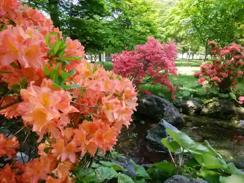 北海道護國神社の庭園