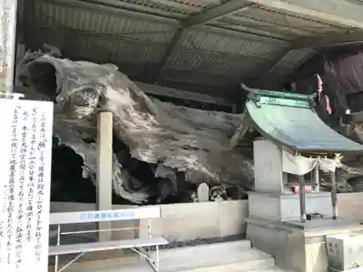 正善寺(生木地蔵)(愛媛県)