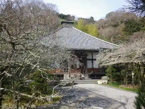 光則寺の本殿・本堂