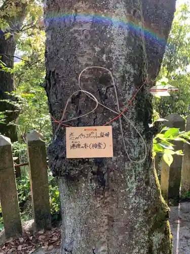 加茂神社の自然