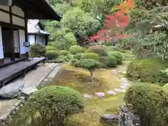 隨心院（随心院）(京都府)