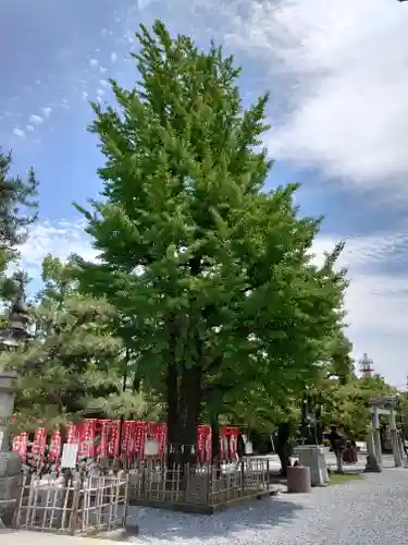 大垣八幡神社の庭園