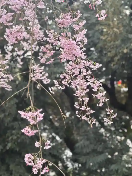 宇都宮二荒山神社の{uncategorized: "未分類", other: "その他", undefined: "問題あり", building: "その他建物", grave: "お墓", sacred_gate: "鳥居", guardian: "狛犬", statue: "像", buddha: "仏像", history: "歴史", nature: "自然", garden: "庭園", animal: "動物", pagoda: "塔", temizu: "手水舎", mountain_gate: "山門・神門", sanctuary: "本殿・本堂", subordinate: "末社・摂社", art: "芸術", scenery: "景色", jizo: "地蔵", ema: "絵馬", goshuin: "御朱印", omikuji: "おみくじ", items: "授与品その他", amulet: "お守り", goshuincho: "御朱印帳", eats: "食事", festival: "お祭り", votive_dance: "神楽", shichigosan: "七五三参", wedding: "結婚式", experience: "体験その他", initially: "初詣", around: "周辺", anti_infection: "感染症対策"}
