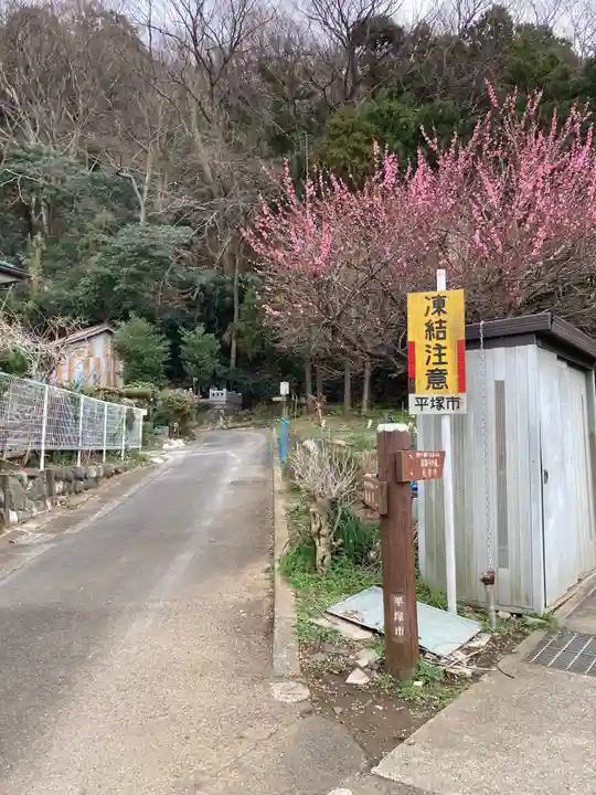 相武国造神社の周辺