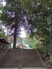 世田谷八幡宮の建物その他