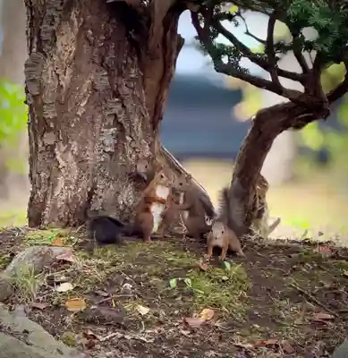 伊達神社(北海道)