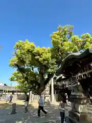 石切劔箭神社(大阪府)