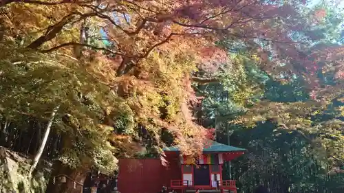 談山神社(奈良県)