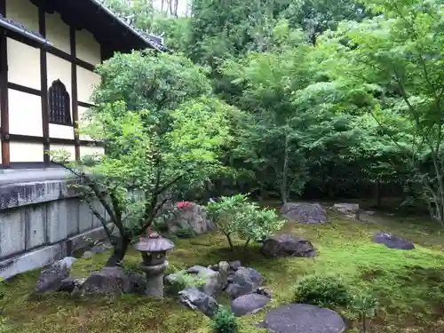 勝林寺の庭園