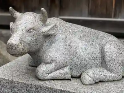 赤羽八幡神社の狛犬