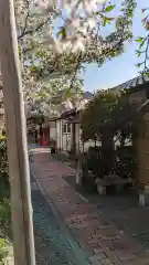 粟嶋堂宗徳寺の庭園