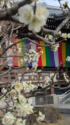  智積院(京都府)