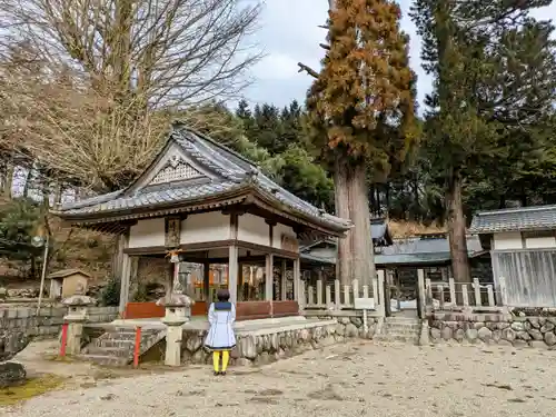 春日神社の本殿・本堂