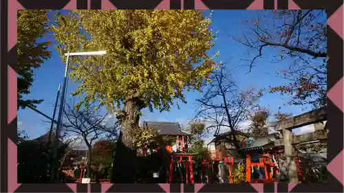 塚越稲荷神社(埼玉県)