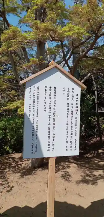 検見川神社の歴史