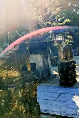 木戸八幡神社の狛犬