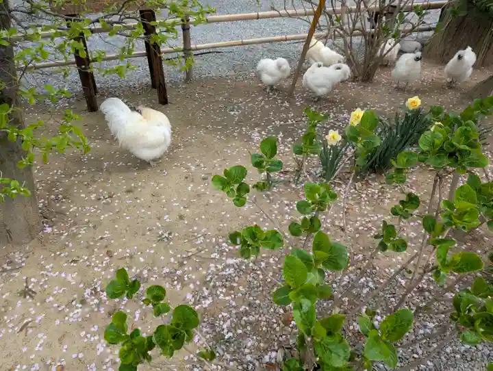 高屋敷稲荷神社(福島県)