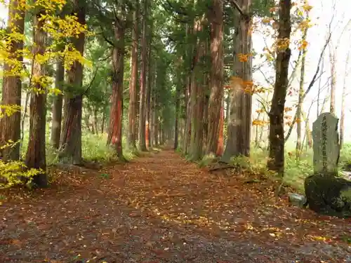 戸隠神社奥社の自然