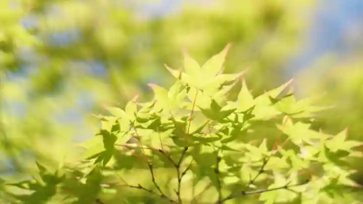 昆陽寺(兵庫県)