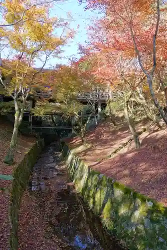 東福禅寺（東福寺）の庭園