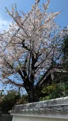 浄安寺(京都府)