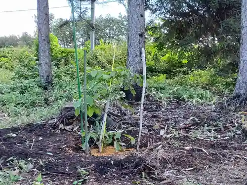 人舞神社(北海道)