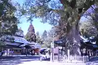 挙母神社のその他建物